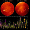 Changing Sun in H-Alpha